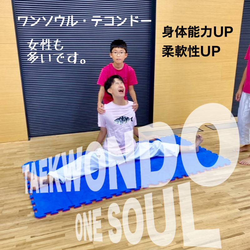 ワンソウル・テコンドー