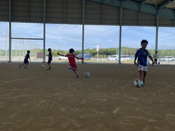 明日のキックトレーニング空きあり