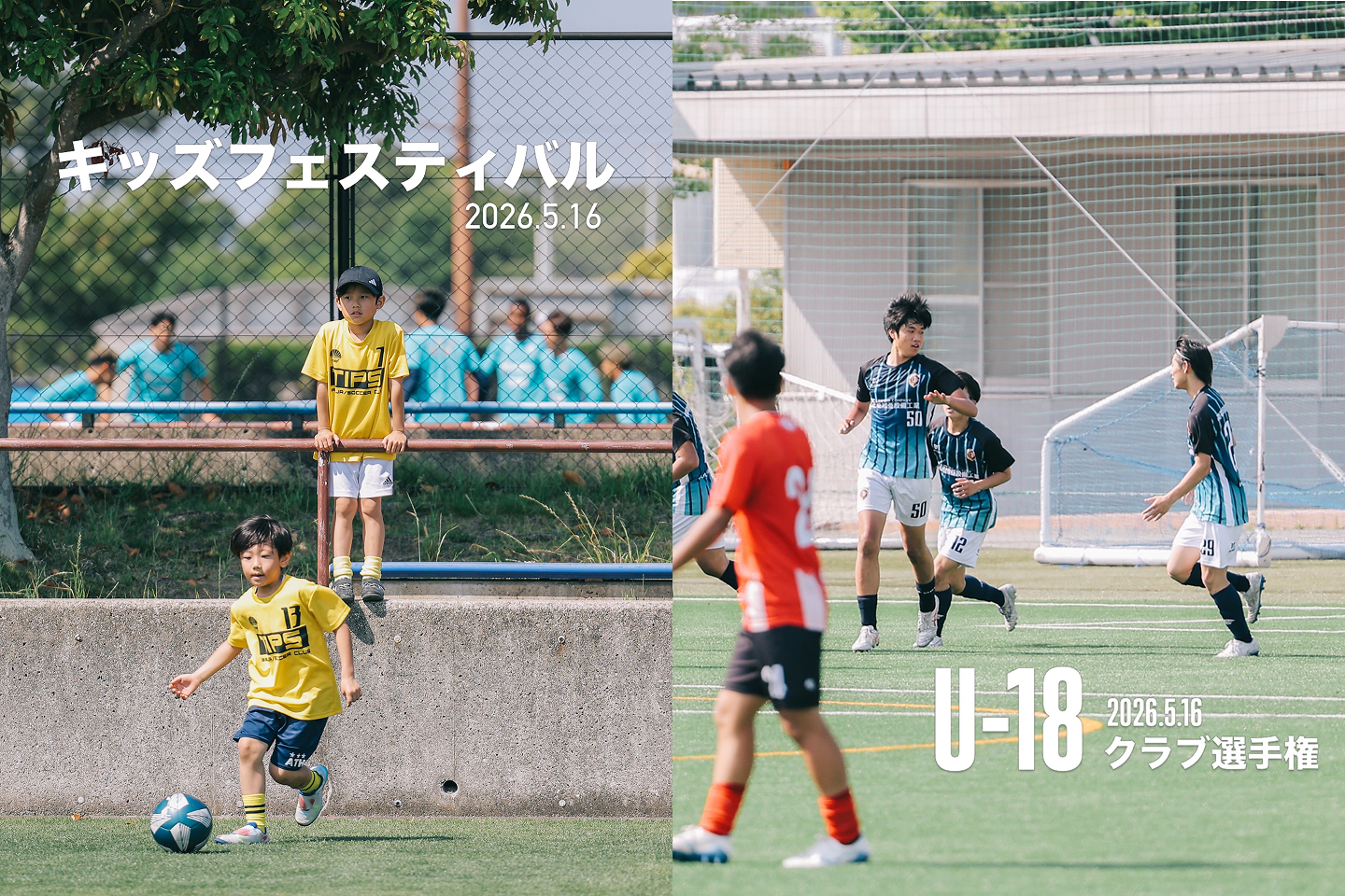 最新写真のご注文はこちら